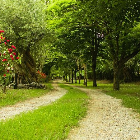 Agriturismo La Locanda Del Parco 莫拉诺卡拉布罗 外观 照片