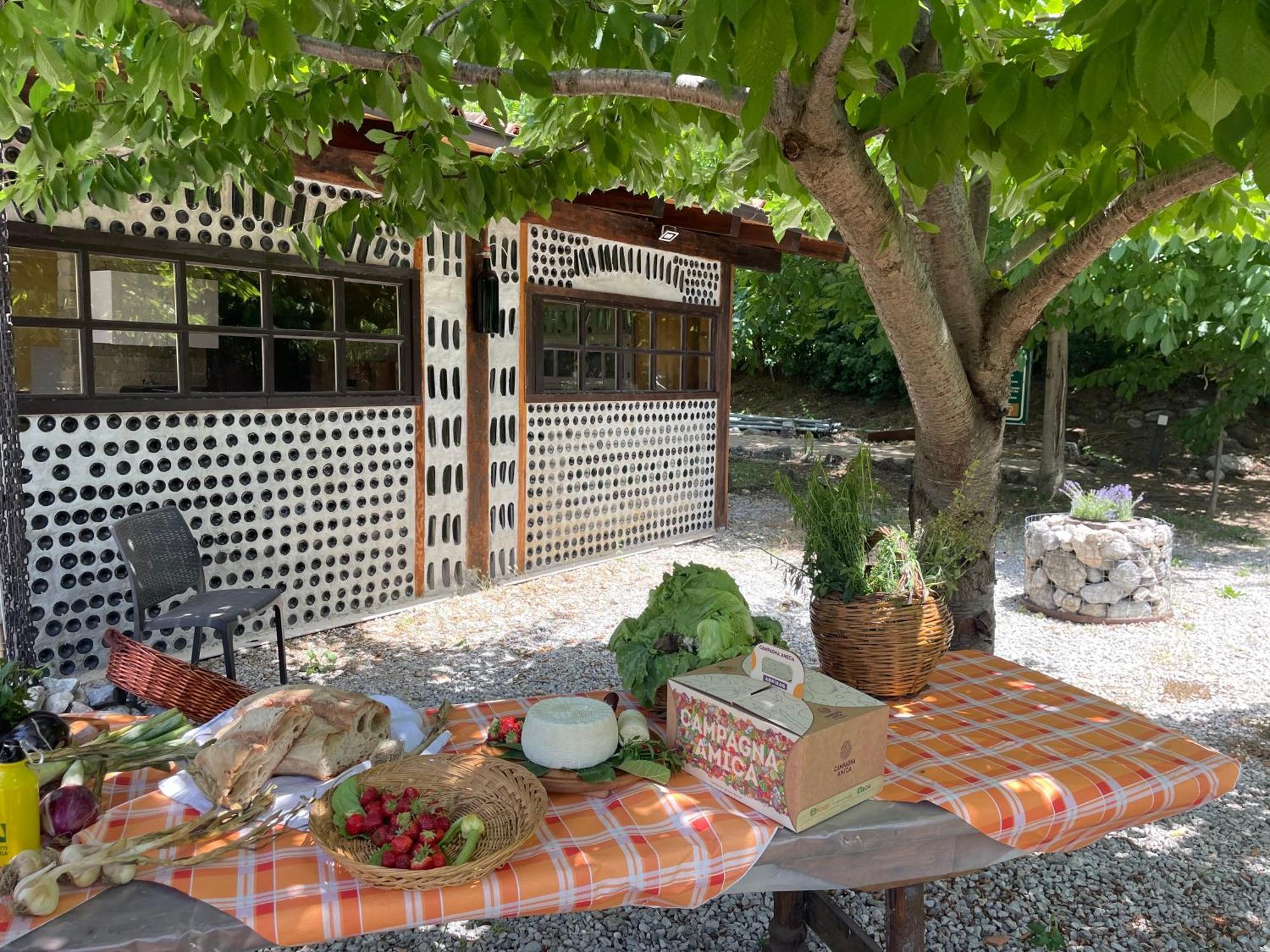 Agriturismo La Locanda Del Parco 莫拉诺卡拉布罗 外观 照片