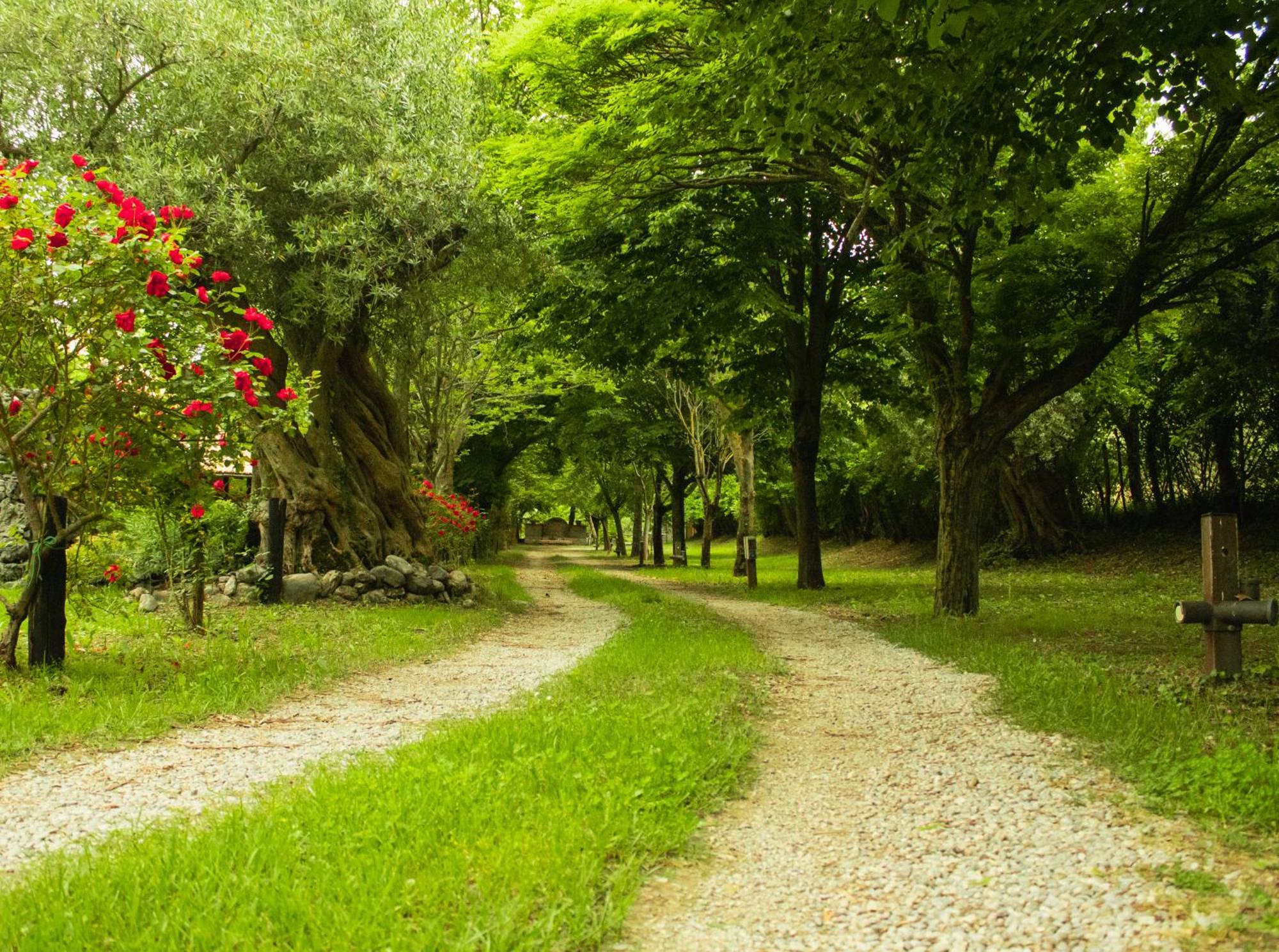 Agriturismo La Locanda Del Parco 莫拉诺卡拉布罗 外观 照片