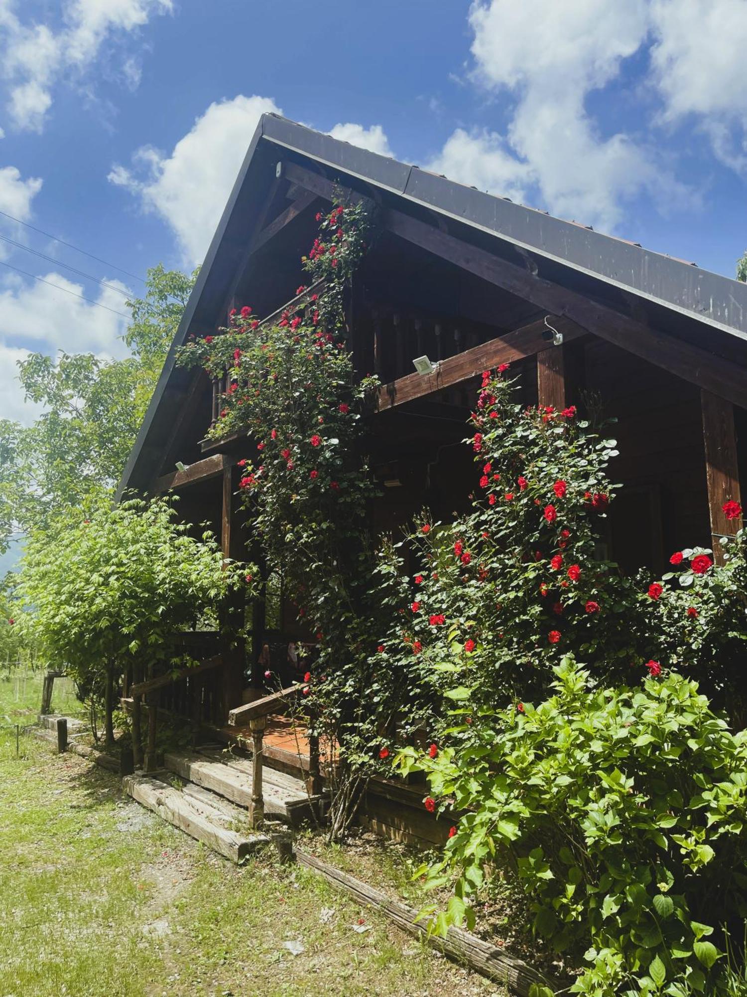 Agriturismo La Locanda Del Parco 莫拉诺卡拉布罗 外观 照片
