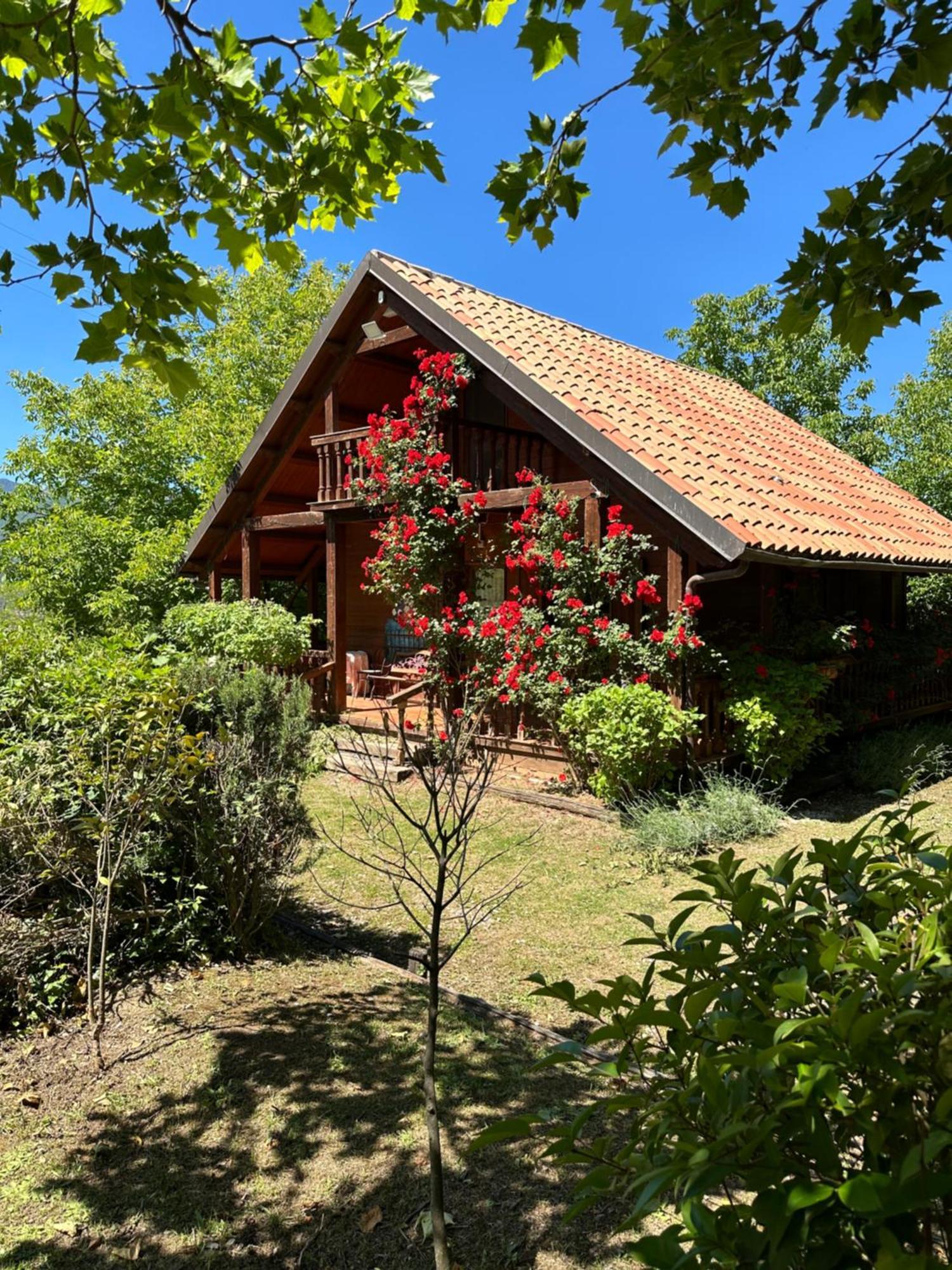 Agriturismo La Locanda Del Parco 莫拉诺卡拉布罗 外观 照片