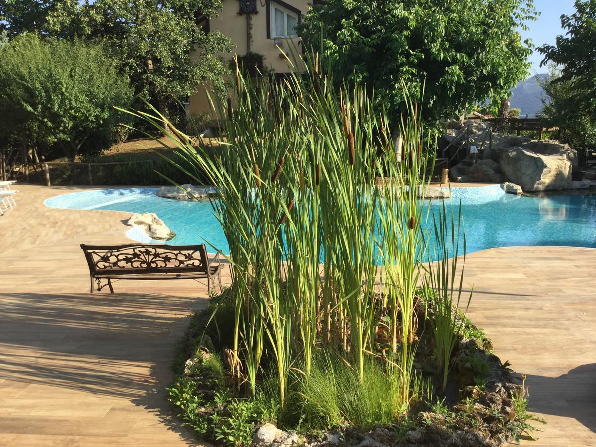 Agriturismo La Locanda Del Parco 莫拉诺卡拉布罗 外观 照片